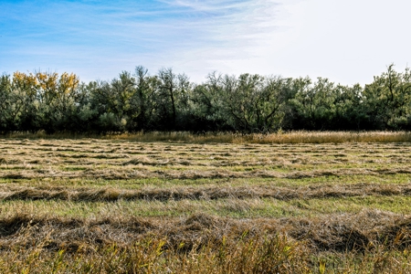 Eastern Montana Irrigated Pivot Ranch For Sale - image 50