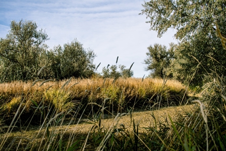 Eastern Montana Irrigated Pivot Ranch For Sale - image 1