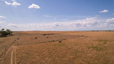 Eastern Montana Irrigated Pivot Ranch For Sale - image 49