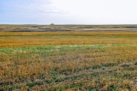 Eastern Montana Irrigated Pivot Ranch For Sale - image 47