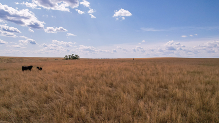 Eastern Montana Irrigated Pivot Ranch For Sale - image 45