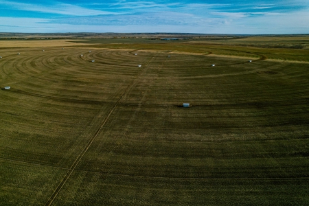 Eastern Montana Irrigated Pivot Ranch For Sale - image 12
