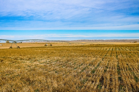 Eastern Montana Irrigated Pivot Ranch For Sale - image 46