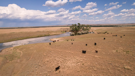 Eastern Montana Irrigated Pivot Ranch For Sale - image 40