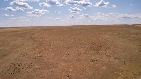 Eastern Montana Irrigated Pivot Ranch For Sale - image 48