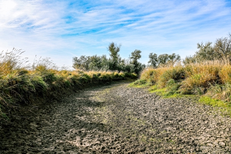 Eastern Montana Irrigated Pivot Ranch For Sale - image 20