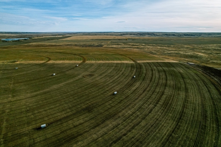 Eastern Montana Irrigated Pivot Ranch For Sale - image 10