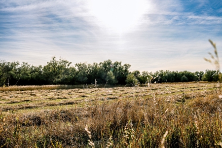 Eastern Montana Irrigated Pivot Ranch For Sale - image 48