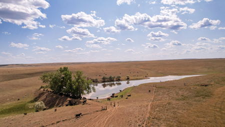 Eastern Montana Irrigated Pivot Ranch For Sale - image 41