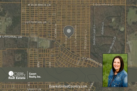 Land for Sale in Horseshoe Bend, Arkansas - image 1