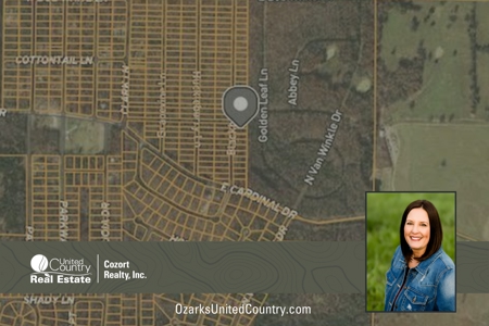 Land for Sale in Horseshoe Bend, Arkansas - image 1