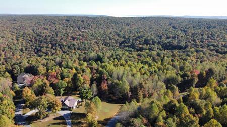 Extraordinary 5.43+- acre property on the Cumberland Plateau - image 9