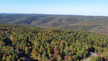 Extraordinary 5.43+- acre property on the Cumberland Plateau - image 1