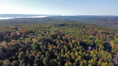 Extraordinary 5.43+- acre property on the Cumberland Plateau - image 7