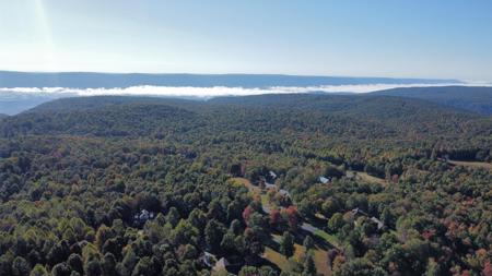 Extraordinary 5.43+- acre property on the Cumberland Plateau - image 5