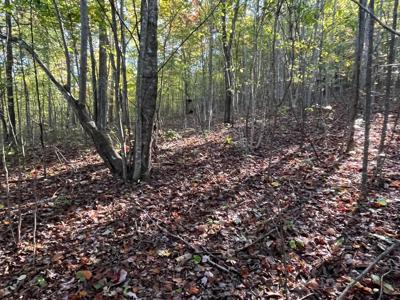 Extraordinary 5.43+- acre property on the Cumberland Plateau - image 41