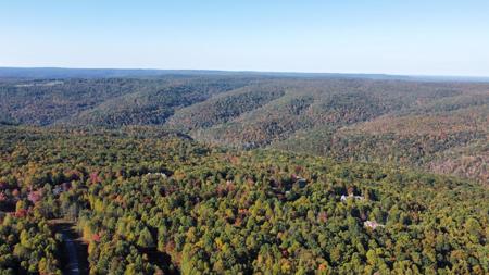 Extraordinary 5.43+- acre property on the Cumberland Plateau - image 6