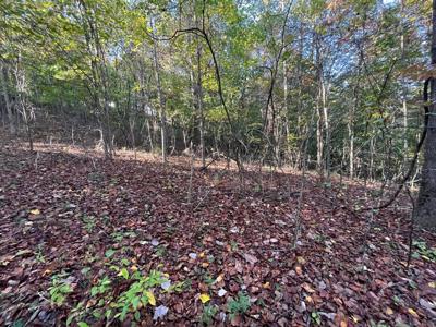 Extraordinary 5.43+- acre property on the Cumberland Plateau - image 22