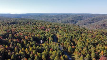 Extraordinary 5.43+- acre property on the Cumberland Plateau - image 8