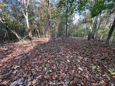 Extraordinary 5.43+- acre property on the Cumberland Plateau - image 24