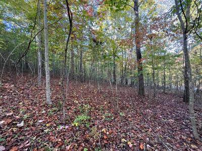 Extraordinary 5.43+- acre property on the Cumberland Plateau - image 18