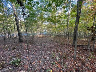 Extraordinary 5.43+- acre property on the Cumberland Plateau - image 19