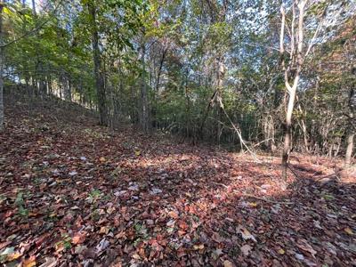 Extraordinary 5.43+- acre property on the Cumberland Plateau - image 25