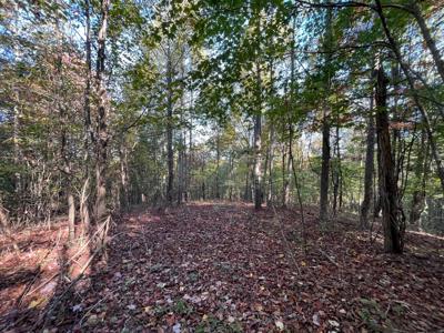 Extraordinary 5.43+- acre property on the Cumberland Plateau - image 26