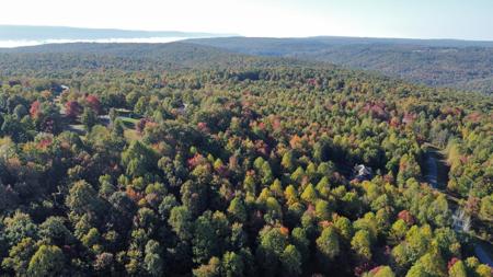 Extraordinary 5.43+- acre property on the Cumberland Plateau - image 2