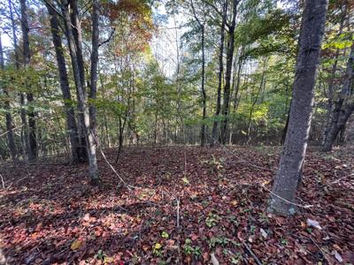 Extraordinary 5.43+- acre property on the Cumberland Plateau - image 21