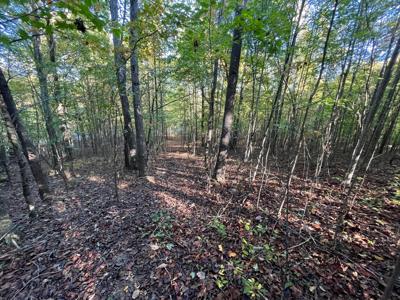 Extraordinary 5.43+- acre property on the Cumberland Plateau - image 20