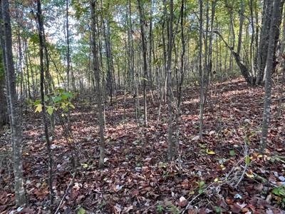 Extraordinary 5.43+- acre property on the Cumberland Plateau - image 40