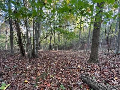 Extraordinary 5.43+- acre property on the Cumberland Plateau - image 23