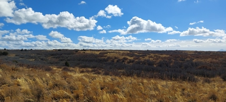 40 Acres For Sale in Dove Creek, Colorado! - image 11