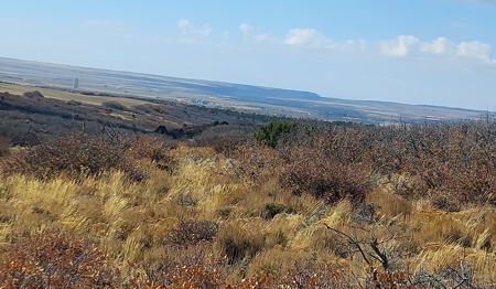 40 Acres For Sale in Dove Creek, Colorado! - image 6