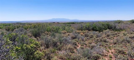 40 Acres For Sale in Dove Creek, Colorado! - image 1