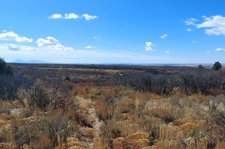 40 Acres For Sale in Dove Creek, Colorado! - image 4