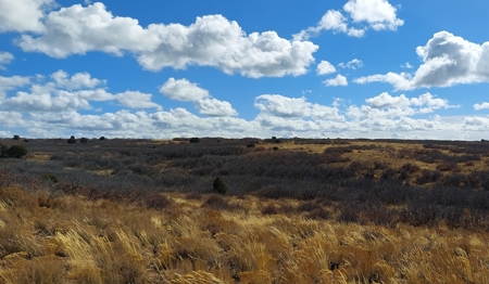 40 Acres For Sale in Dove Creek, Colorado! - image 7