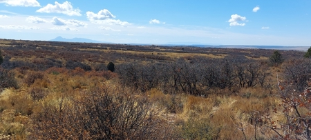 40 Acres For Sale in Dove Creek, Colorado! - image 3