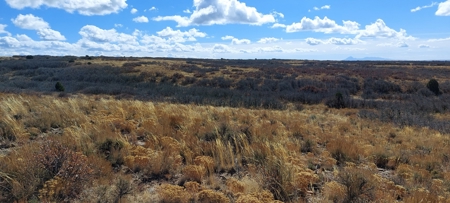 40 Acres For Sale in Dove Creek, Colorado! - image 8