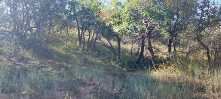 40 Acres For Sale in Dove Creek, Colorado! - image 13