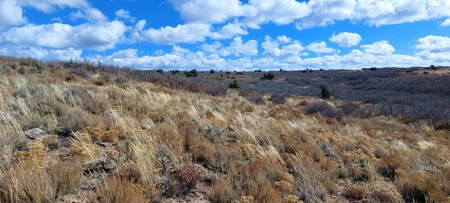 40 Acres For Sale in Dove Creek, Colorado! - image 12