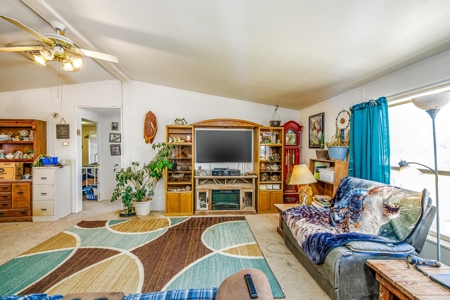 Country Home with Room For Livestock in Austin Colorado - image 8