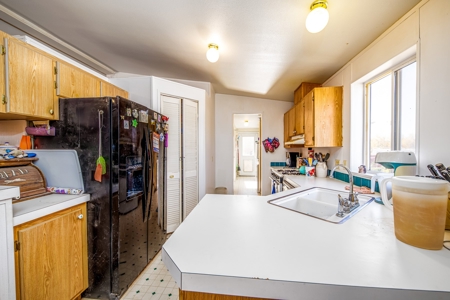 Country Home with Room For Livestock in Austin Colorado - image 14
