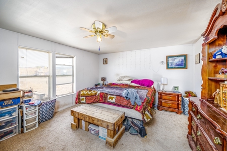 Country Home with Room For Livestock in Austin Colorado - image 11
