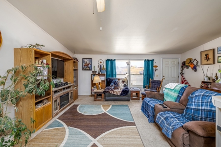 Country Home with Room For Livestock in Austin Colorado - image 10
