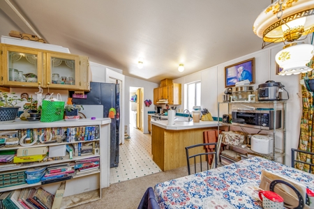 Country Home with Room For Livestock in Austin Colorado - image 13