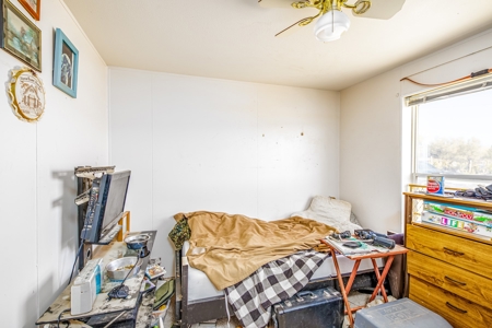 Country Home with Room For Livestock in Austin Colorado - image 19