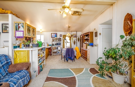 Country Home with Room For Livestock in Austin Colorado - image 9