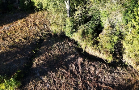 Peaceful East Texas Acreage with Running Creek - image 2